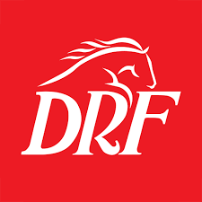 Horse Betting System (drf) screenshot